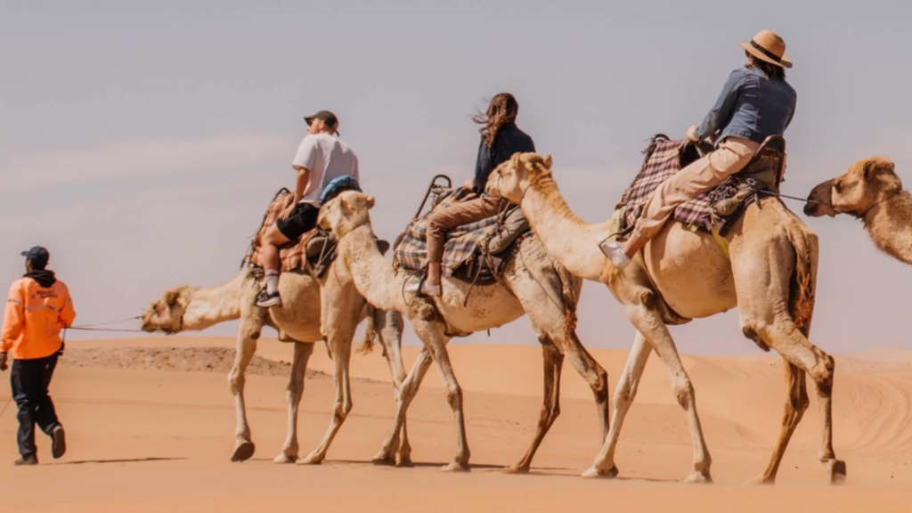 People on Camels being walked through the desert by a tour guide in the sand dunes in Namibia.